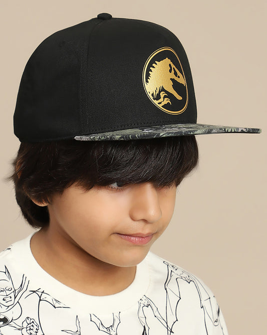 Kids Boys Jurassic World Printed Black Caps