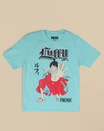 One Piece Printed Regular Fit Tshirt For Boys