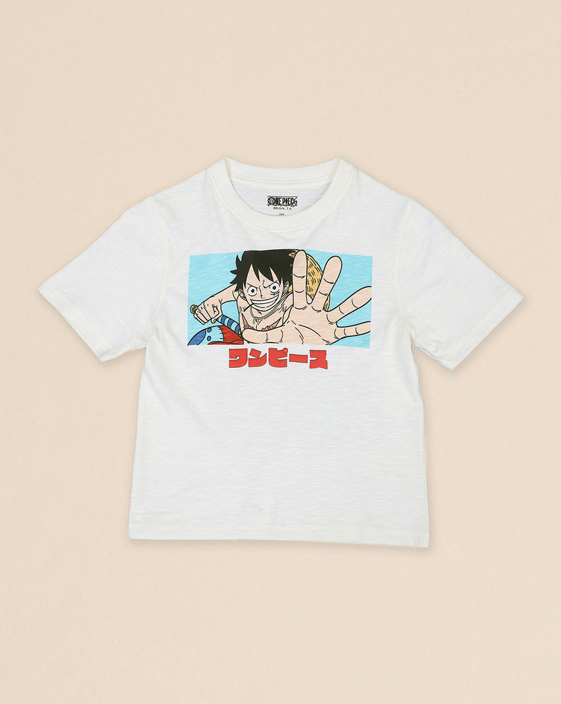 One Piece Printed Regular Fit Tshirt For Boys