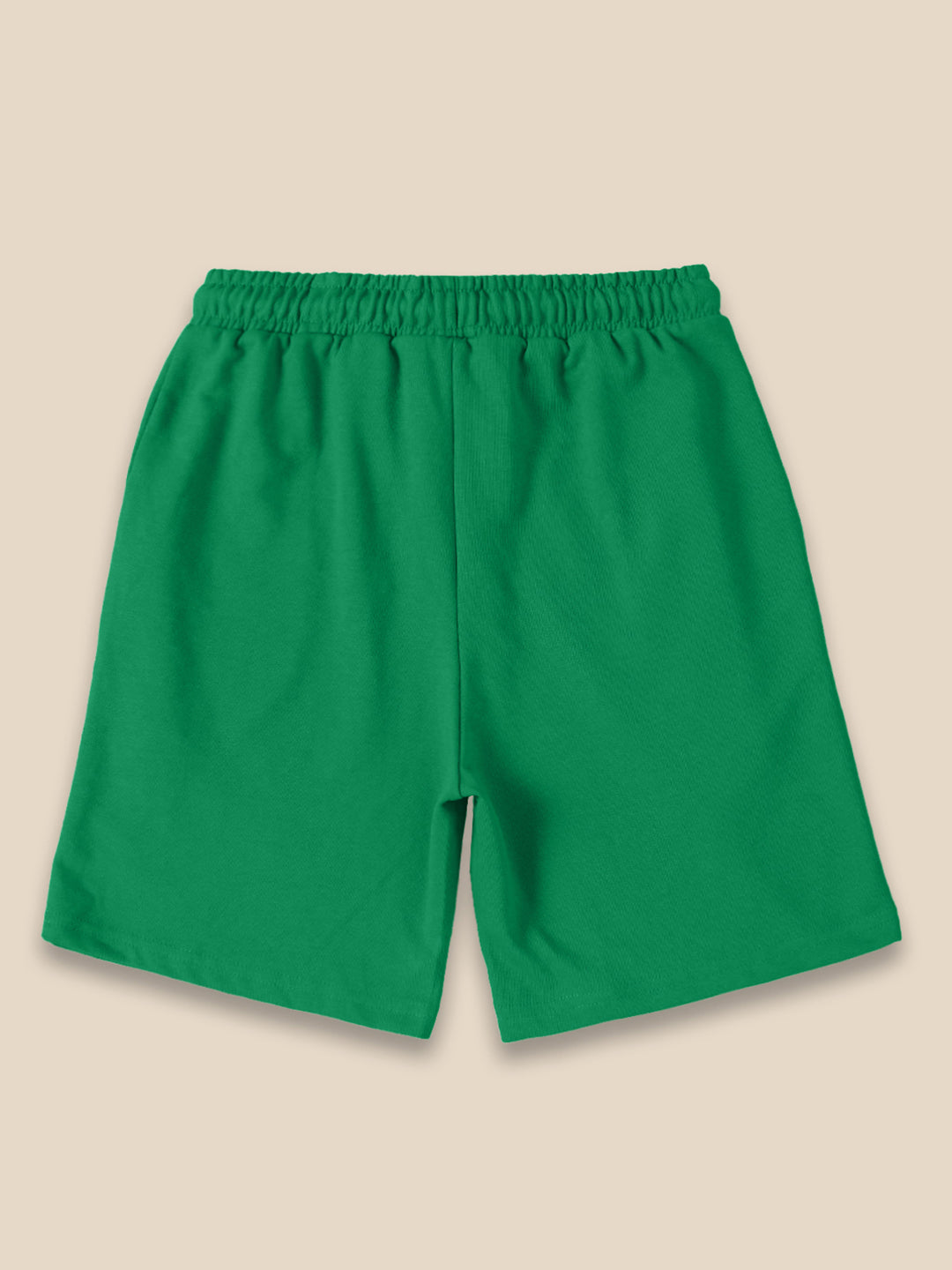 Hulk Shorts For Boys